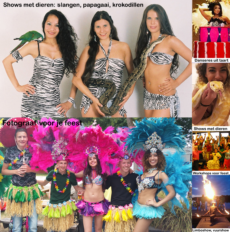 Caribischfeestband